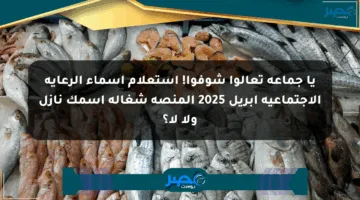 يا جماعة تعالوا شوفوا! استعلام أسماء الرعاية الاجتماعية إبريل 2025 المنصة شغالة اسمك نازل ولا لأ؟